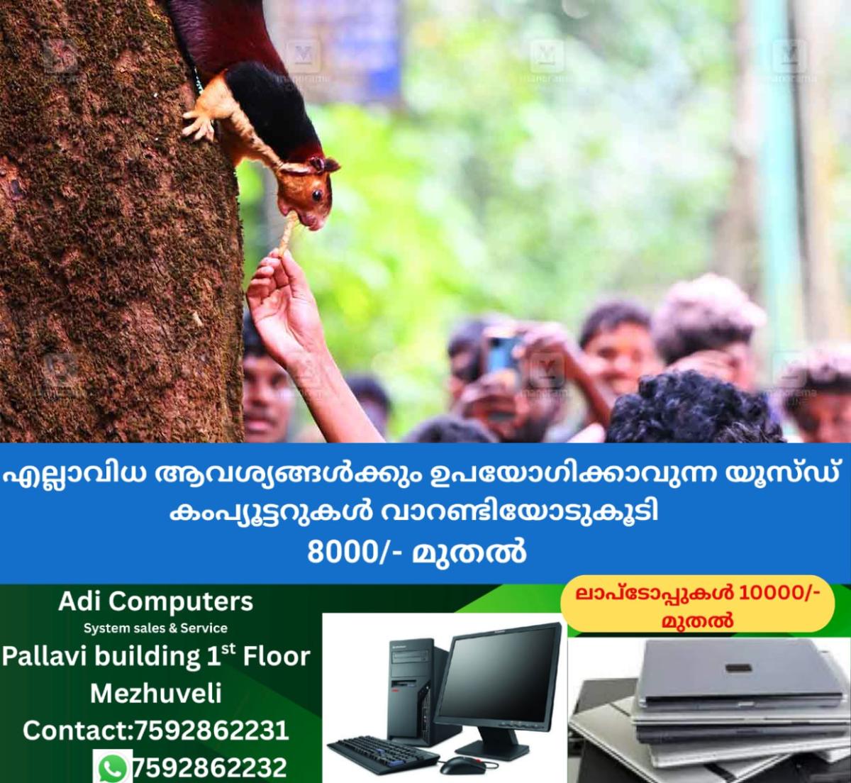 newskerala.net_1764845765_sabarimala-wild-animels