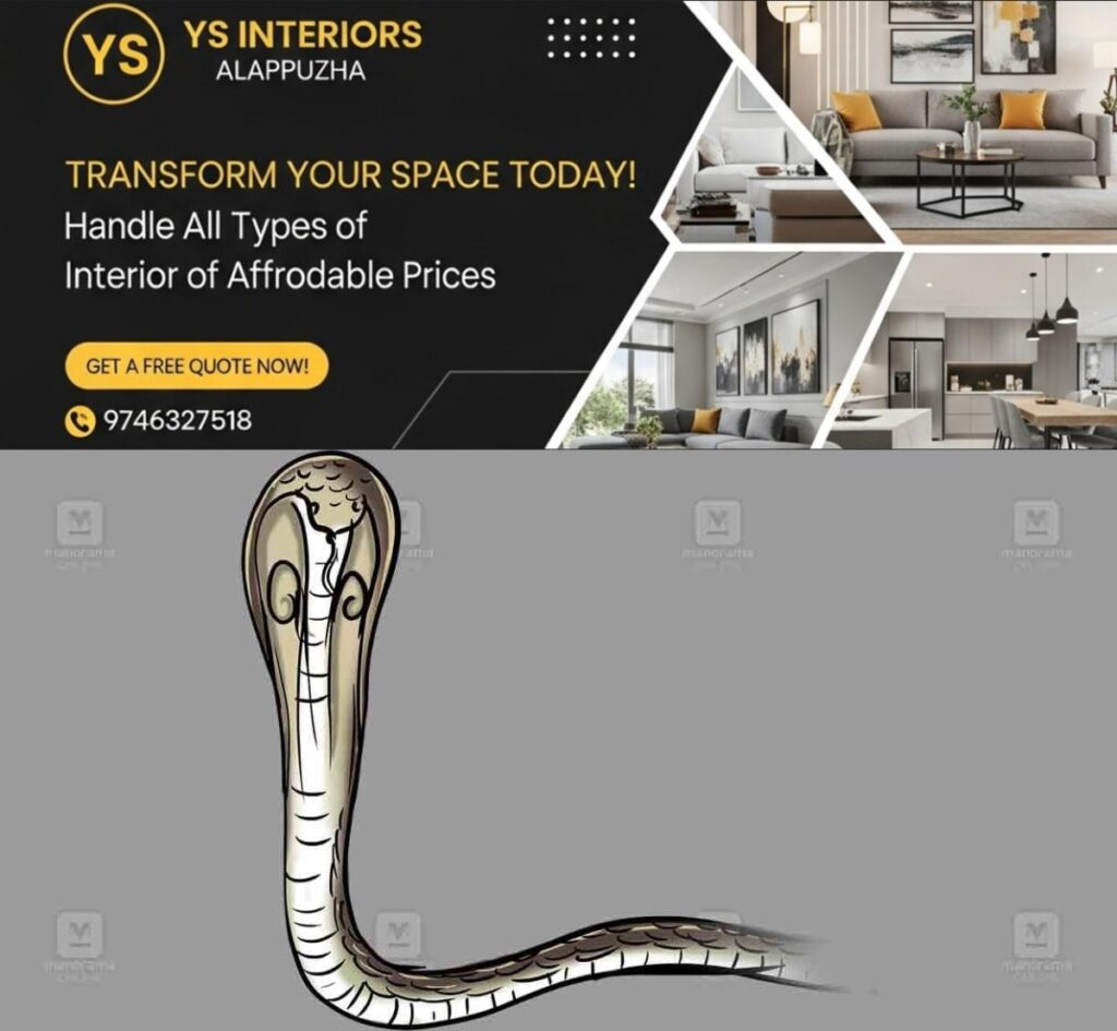 newskerala.net_1764848051_cobra-1