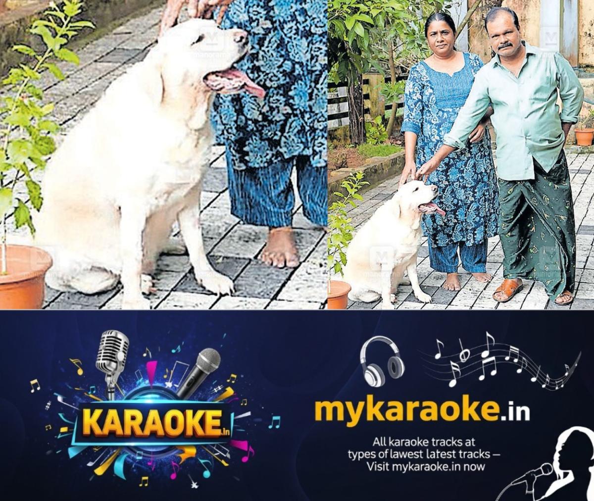 newskerala.net_1764898221_labrador-ruby-snake-bite-rescue-1