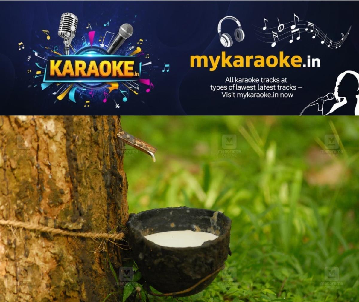newskerala.net_1764939135_rubber-tree-carbon-credit