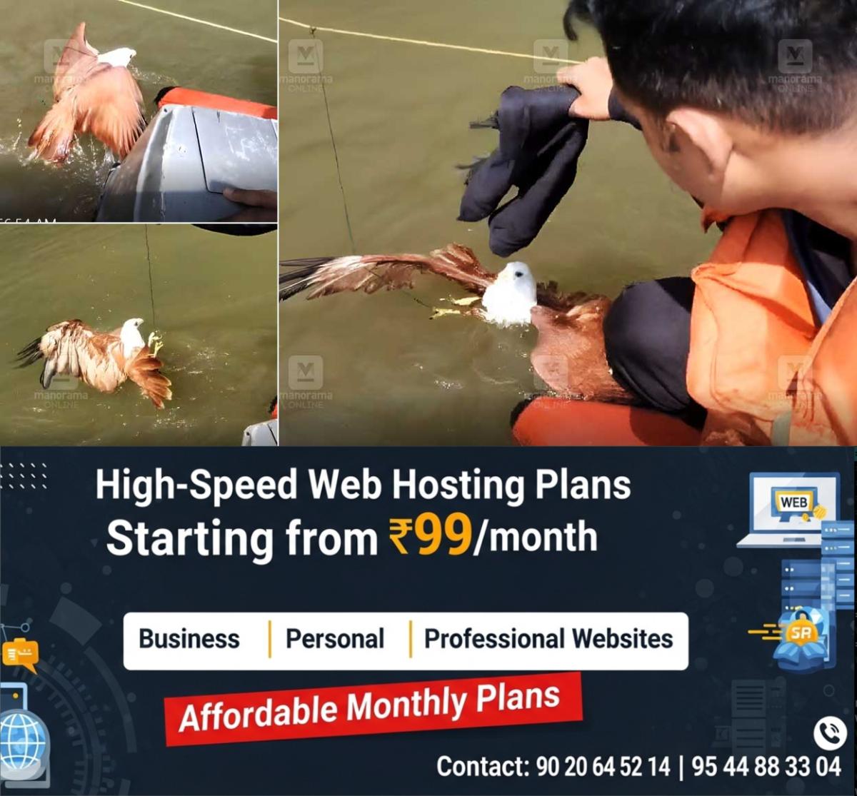 newskerala.net_1765015863_fire-force-rescues-eagle