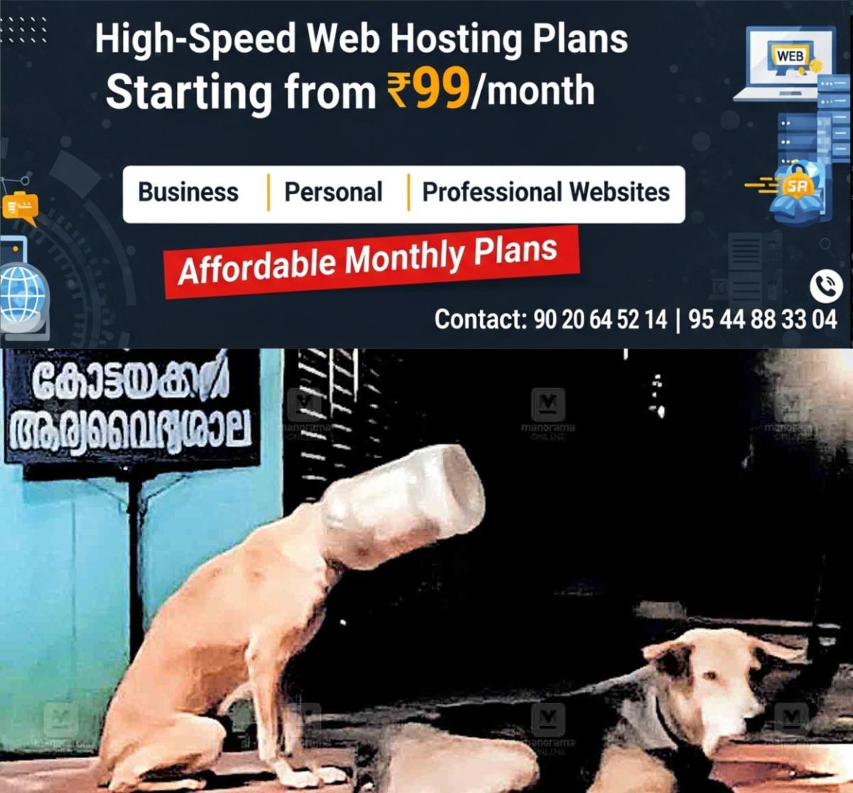 newskerala.net_1765026130_dog-head-trapped