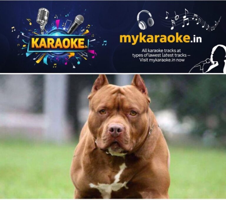 newskerala.net_1765027622_w-1280h-720format-jpgimgid-01kbsx535fspr948592ghhan5qimgname-pitbul-1765027253422