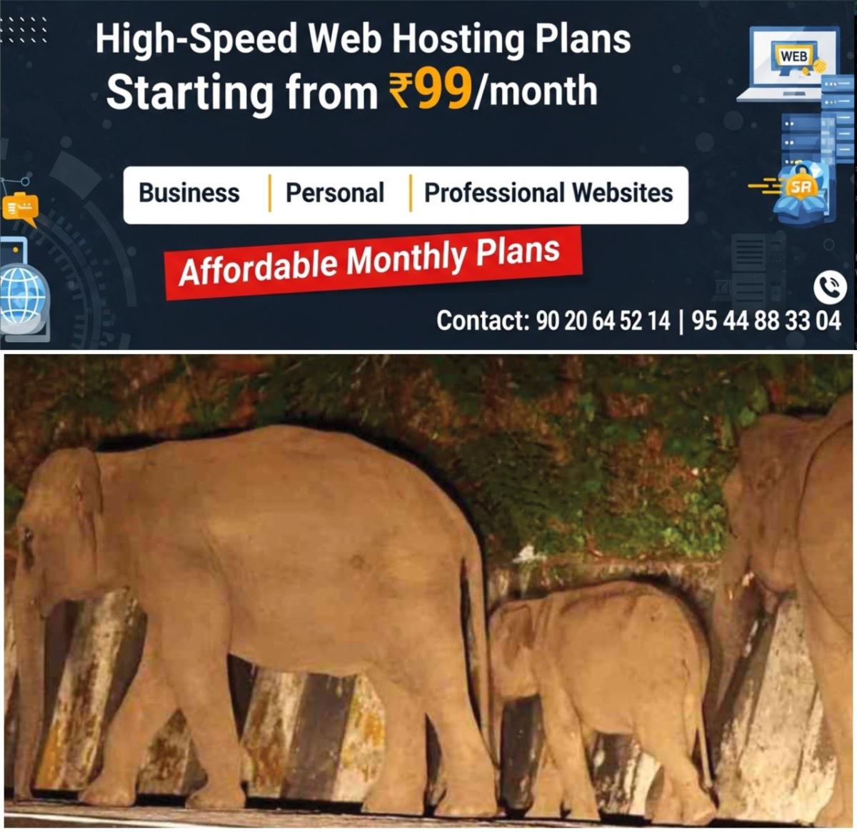 newskerala.net_1765059967_w-1280h-720format-jpgimgid-01k6wdee60t4r8t405q8g7kbw4imgname-elephant-1759742736576