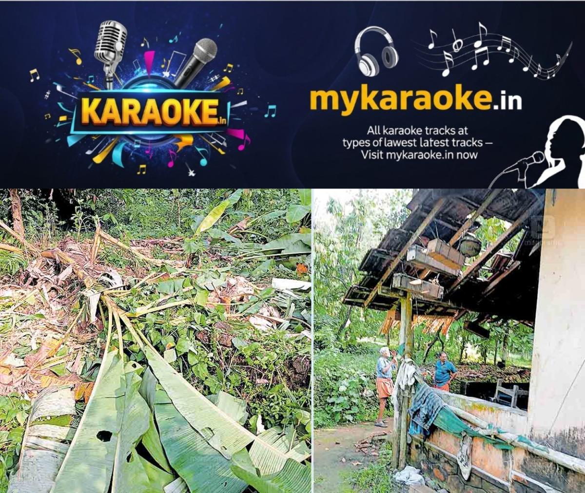 newskerala.net_1765086062_ELEPHANT-ATTACK1