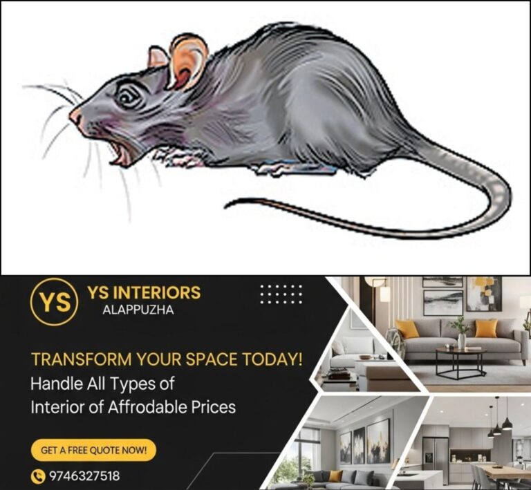 newskerala.net_1765091884_rat-cartoon