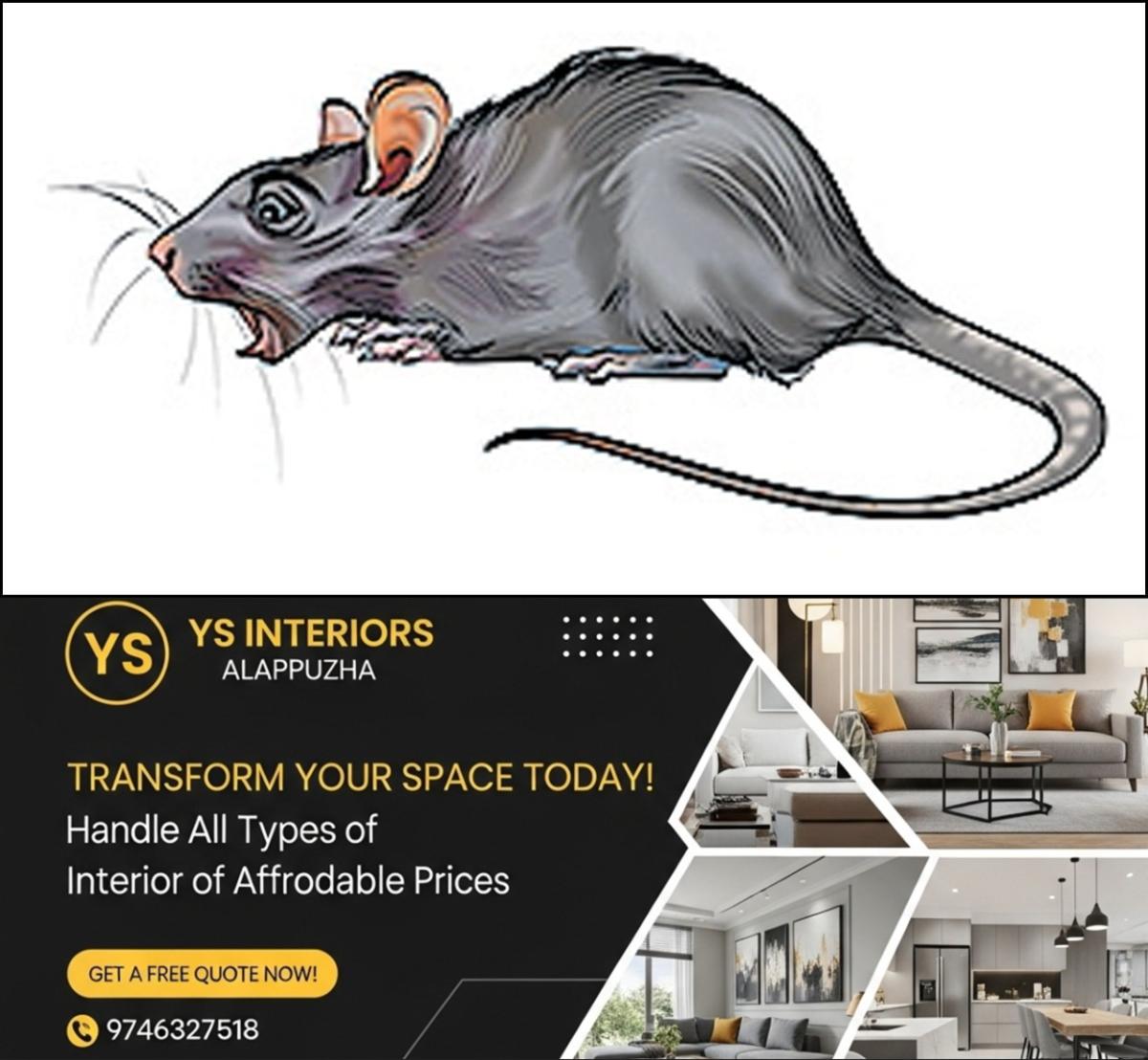 newskerala.net_1765091884_rat-cartoon