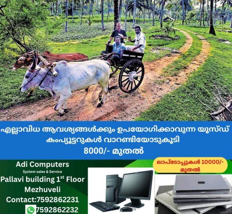 newskerala.net_1765101143_kochikadu-village-kerala-politics-1