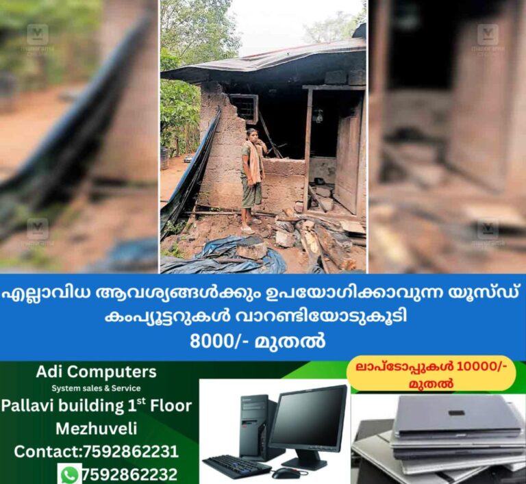 newskerala.net_1765117697_perumbhavoor-vote