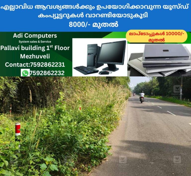 newskerala.net_1765180454_overgrown-grass-creates-hazard-on-erayil-kadavu-bypass