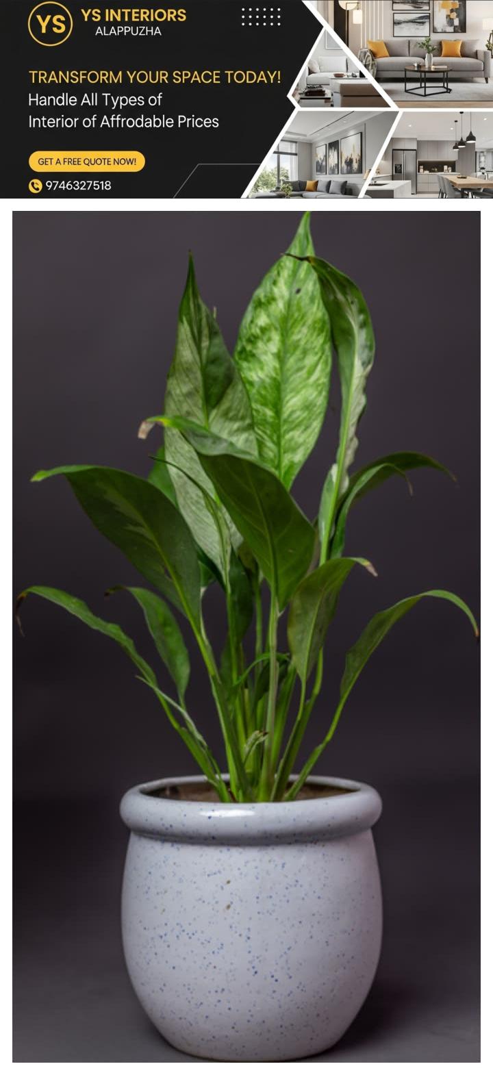 newskerala.net_1765183940_w-720h-1280format-jpgimgid-01kbyhv19d4vxmqfnm3enczbh8imgname-fotojet-2025-12-08t140814.036-176