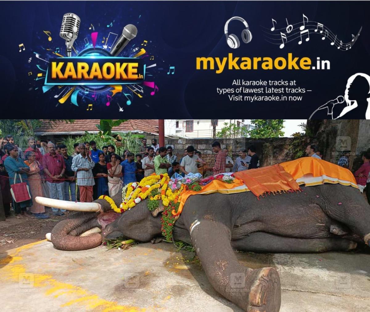 newskerala.net_1765184286_mullakkal-temple-elephant-death