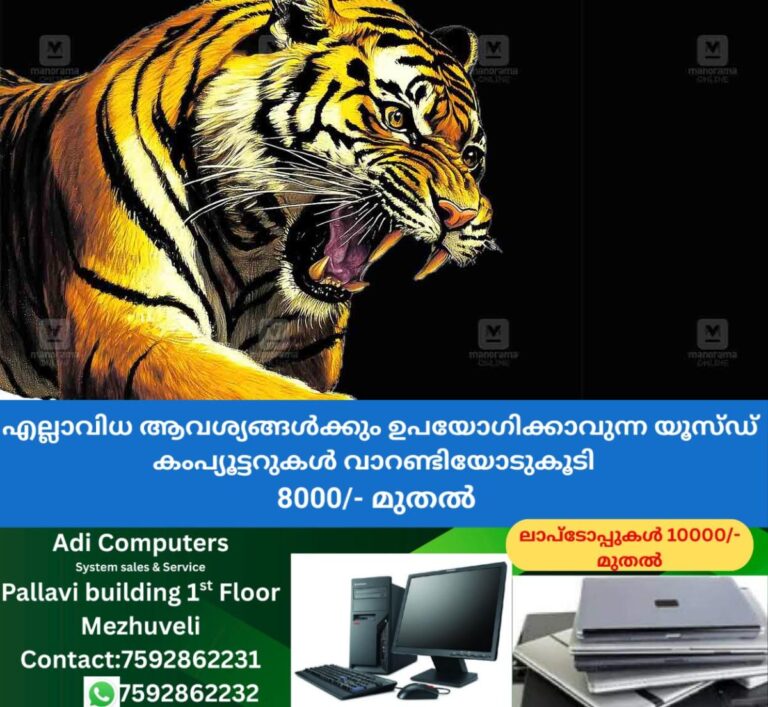 newskerala.net_1765184773_tiger-local-new