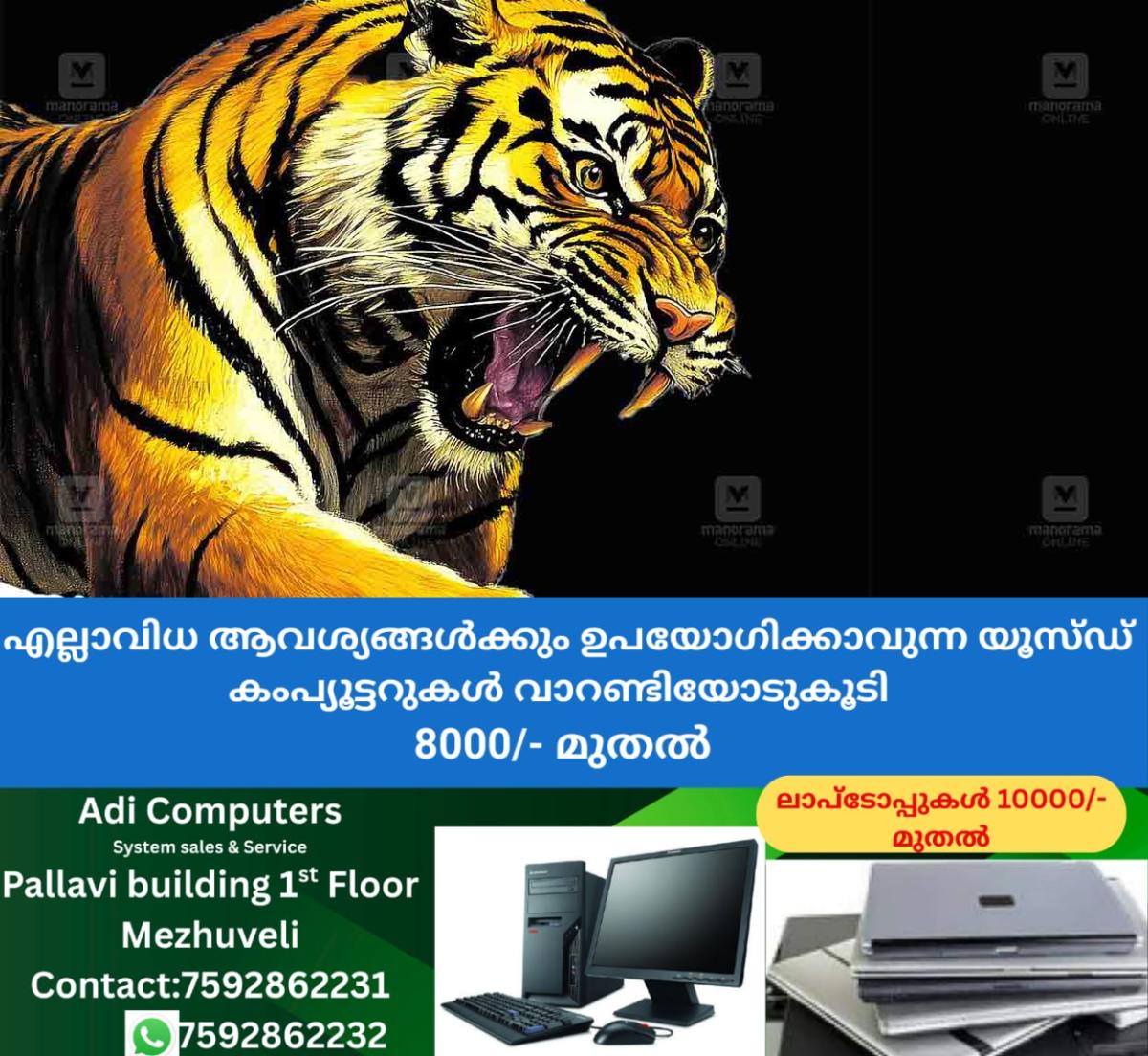 newskerala.net_1765184773_tiger-local-new