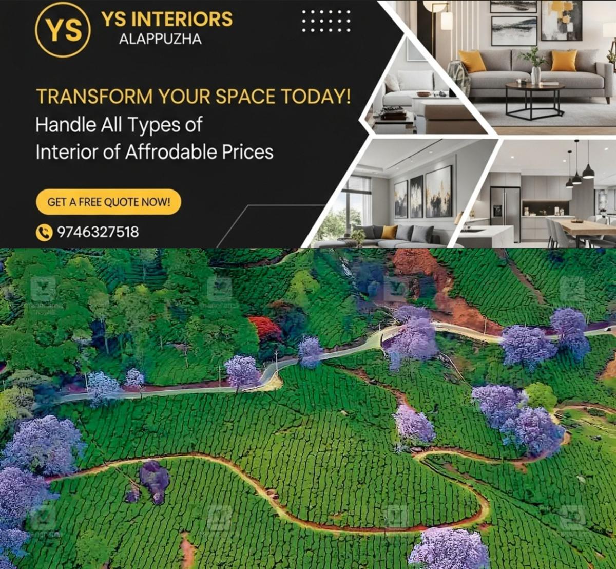 newskerala.net_1765186934_jacrantha-tree