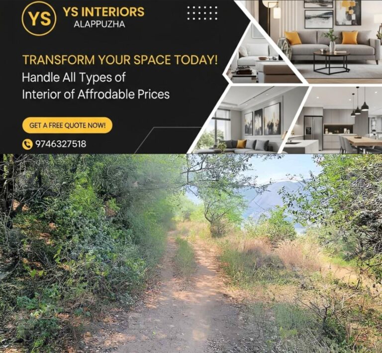 newskerala.net_1765191128_nedumkandam-forest-area