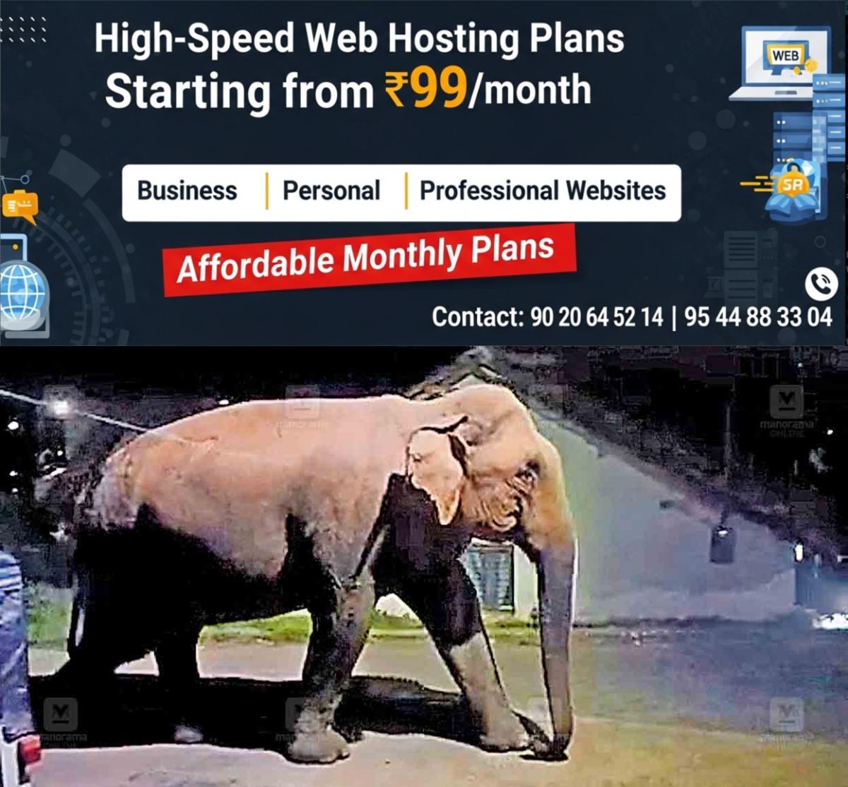 newskerala.net_1765259103_gudalur-elephant