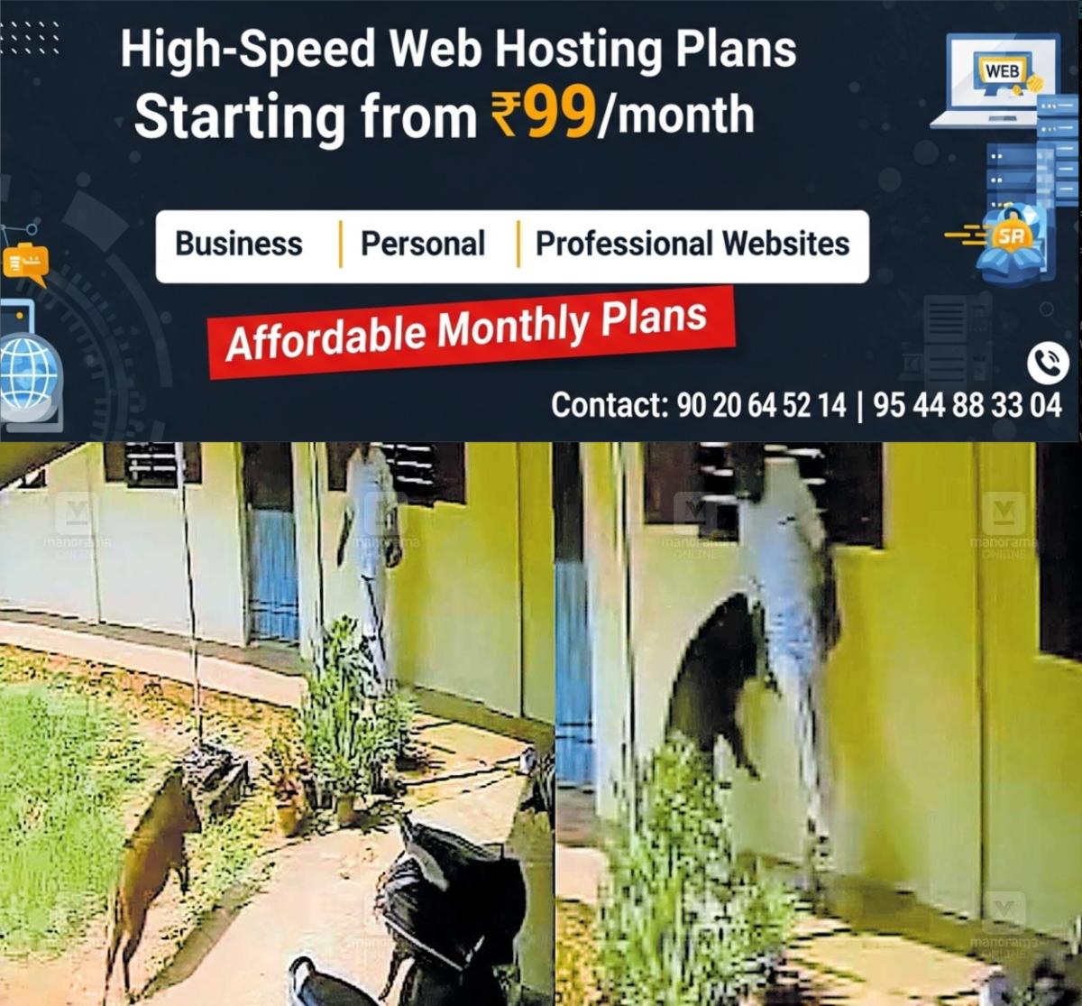 newskerala.net_1765263184_wild-boar-attack