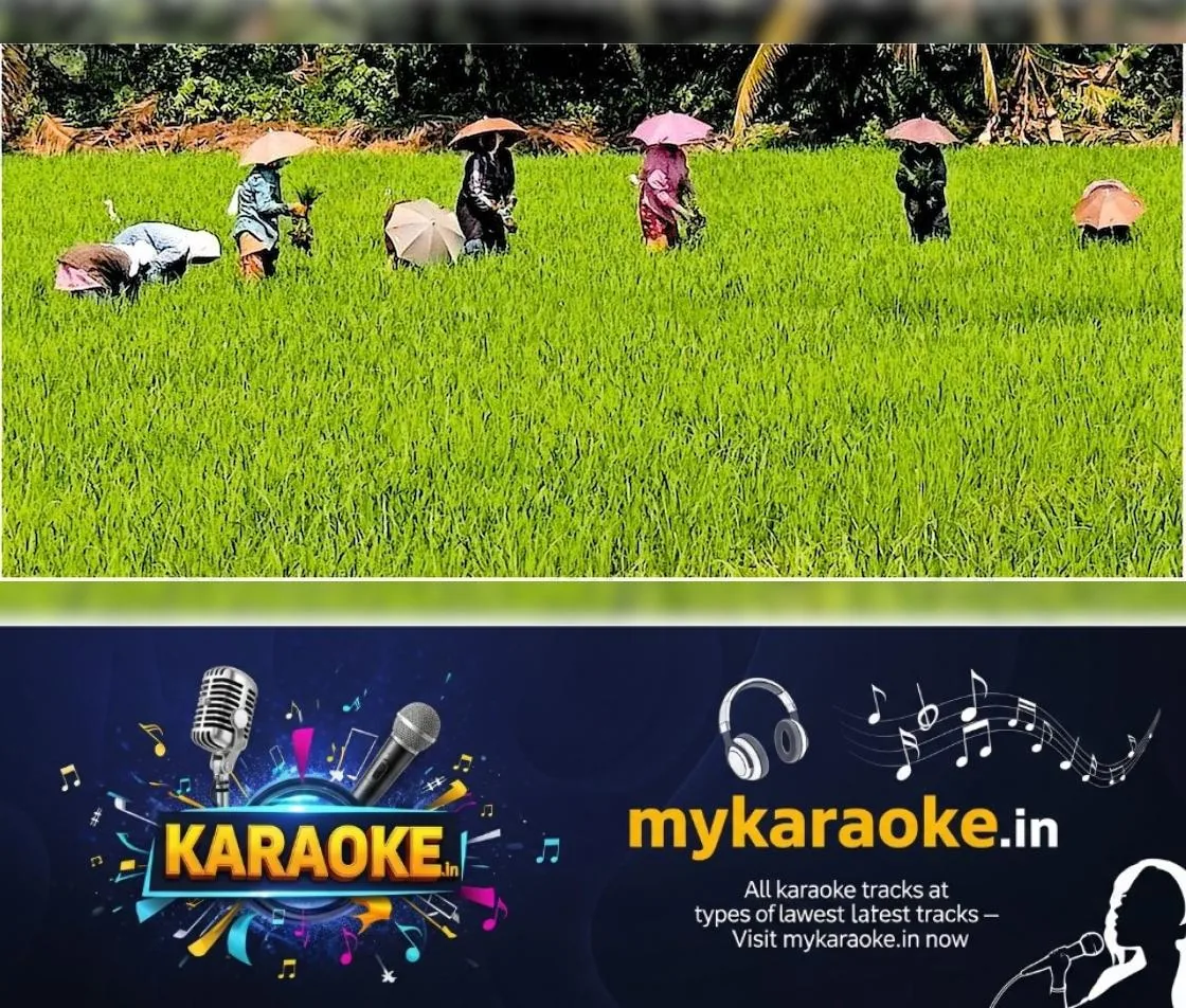newskerala.net_1765357743_caa27a59_416390672_731521_P_6_mr