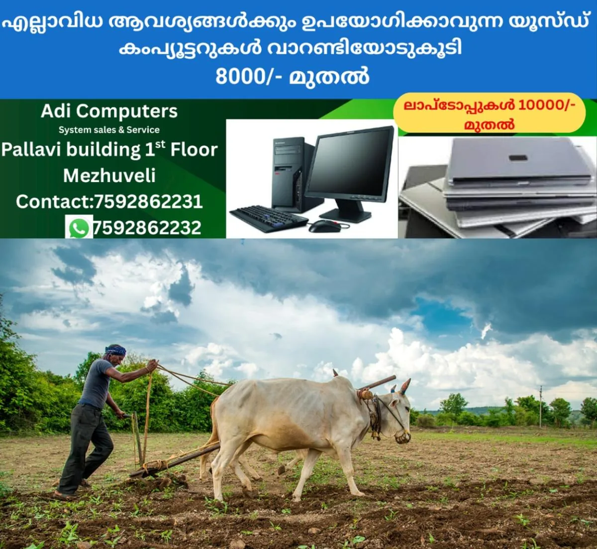 newskerala.net_1765422384_indian-farmer-bull-main