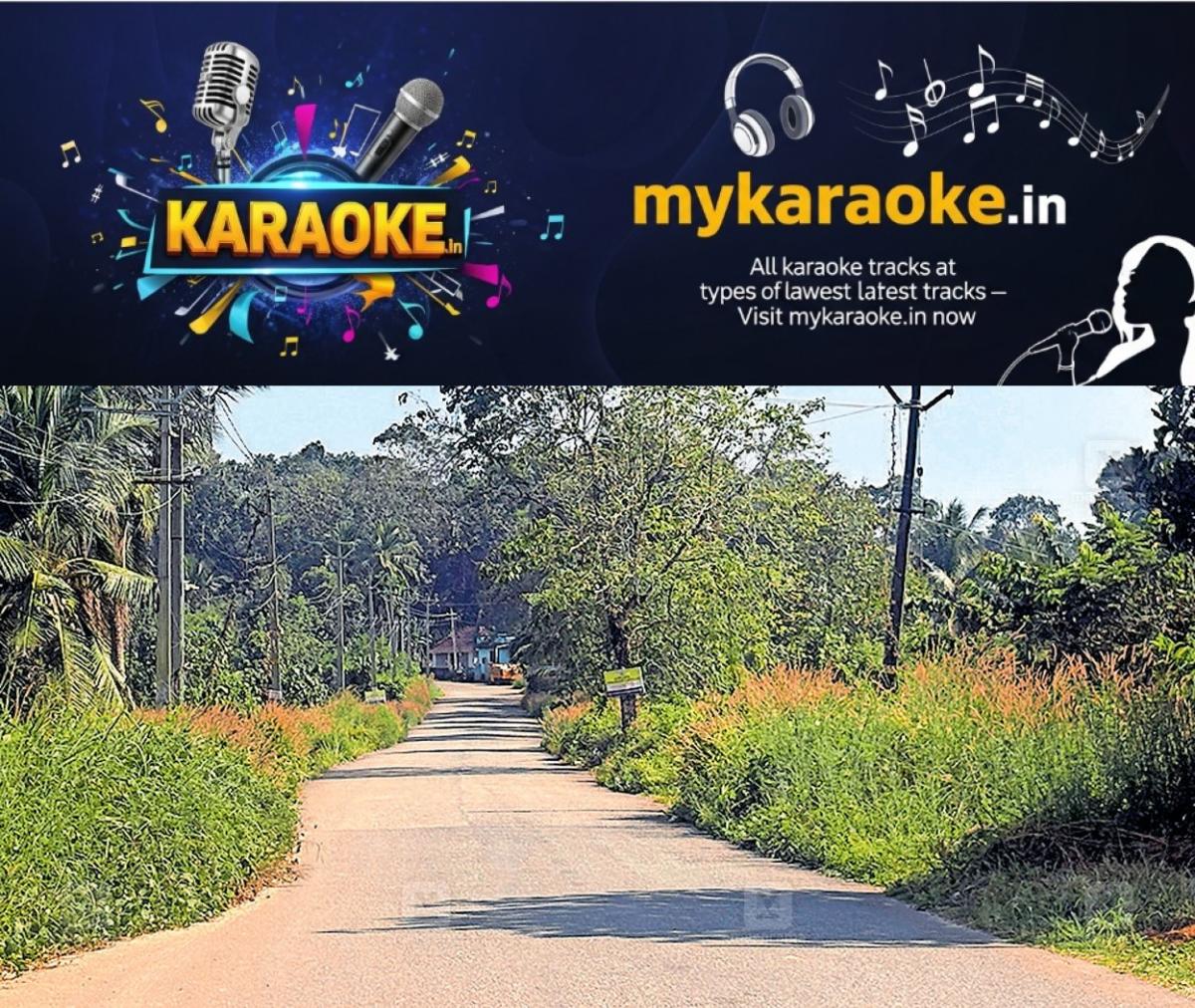 newskerala.net_1765440614_chandanapally-roadside-forest-threat-1