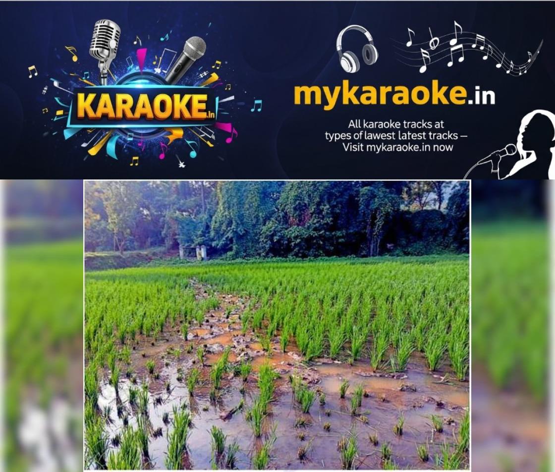 newskerala.net_1765629266_2049904b_316808880_732996_P_8_mr