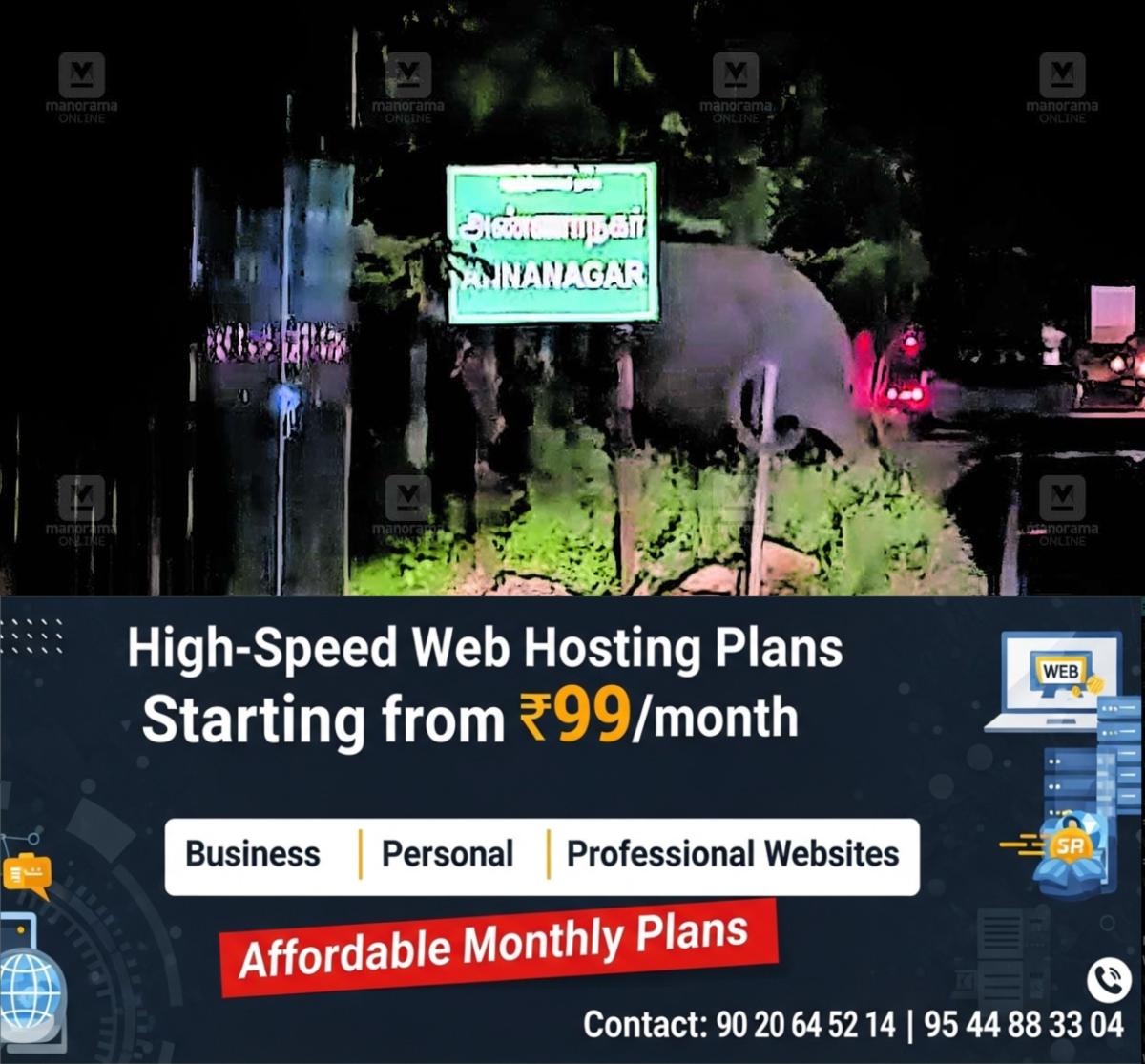 newskerala.net_1765694415_elephant