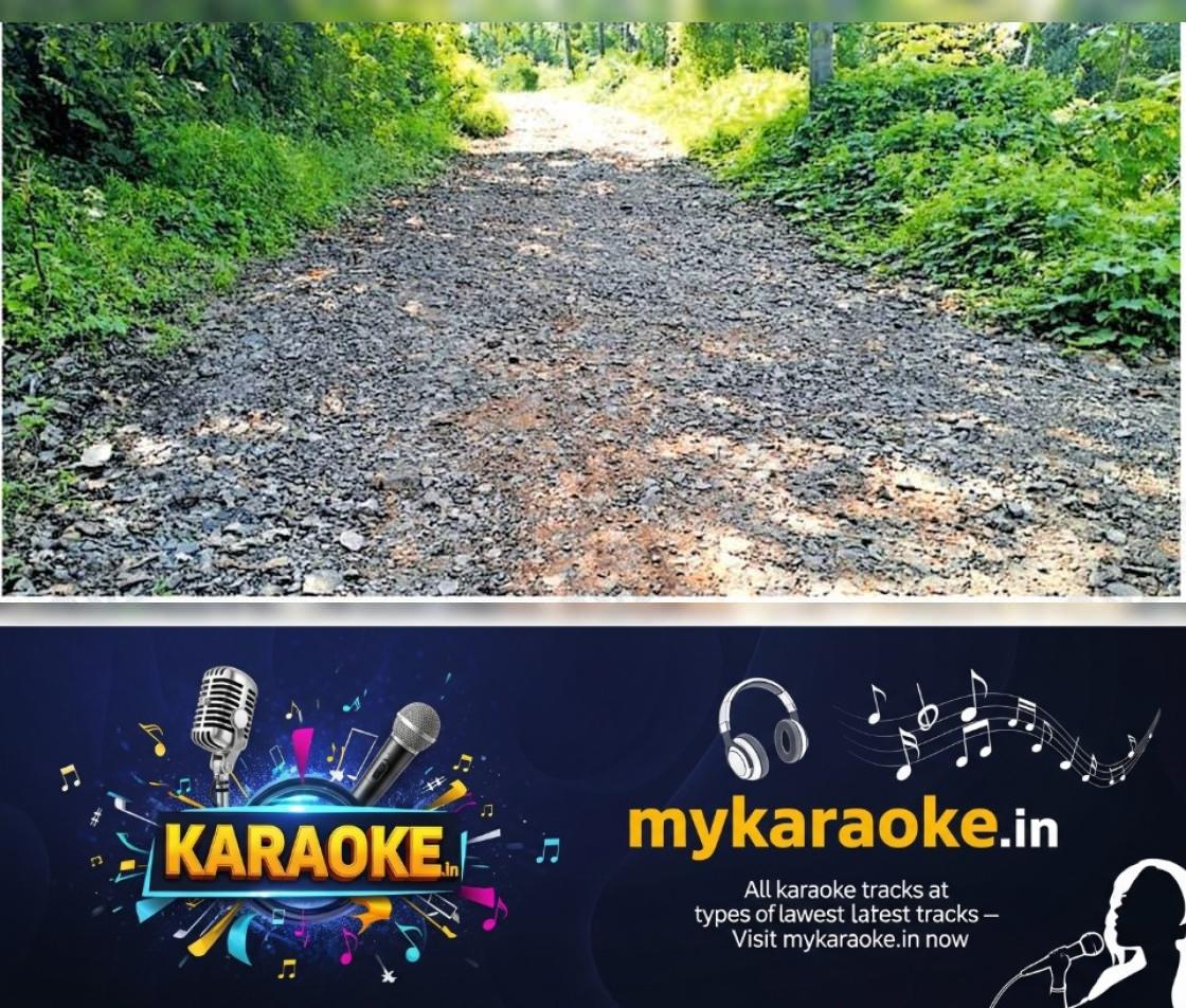 newskerala.net_1765804211_eeb1f7ca_454581104_733897_P_7_mr