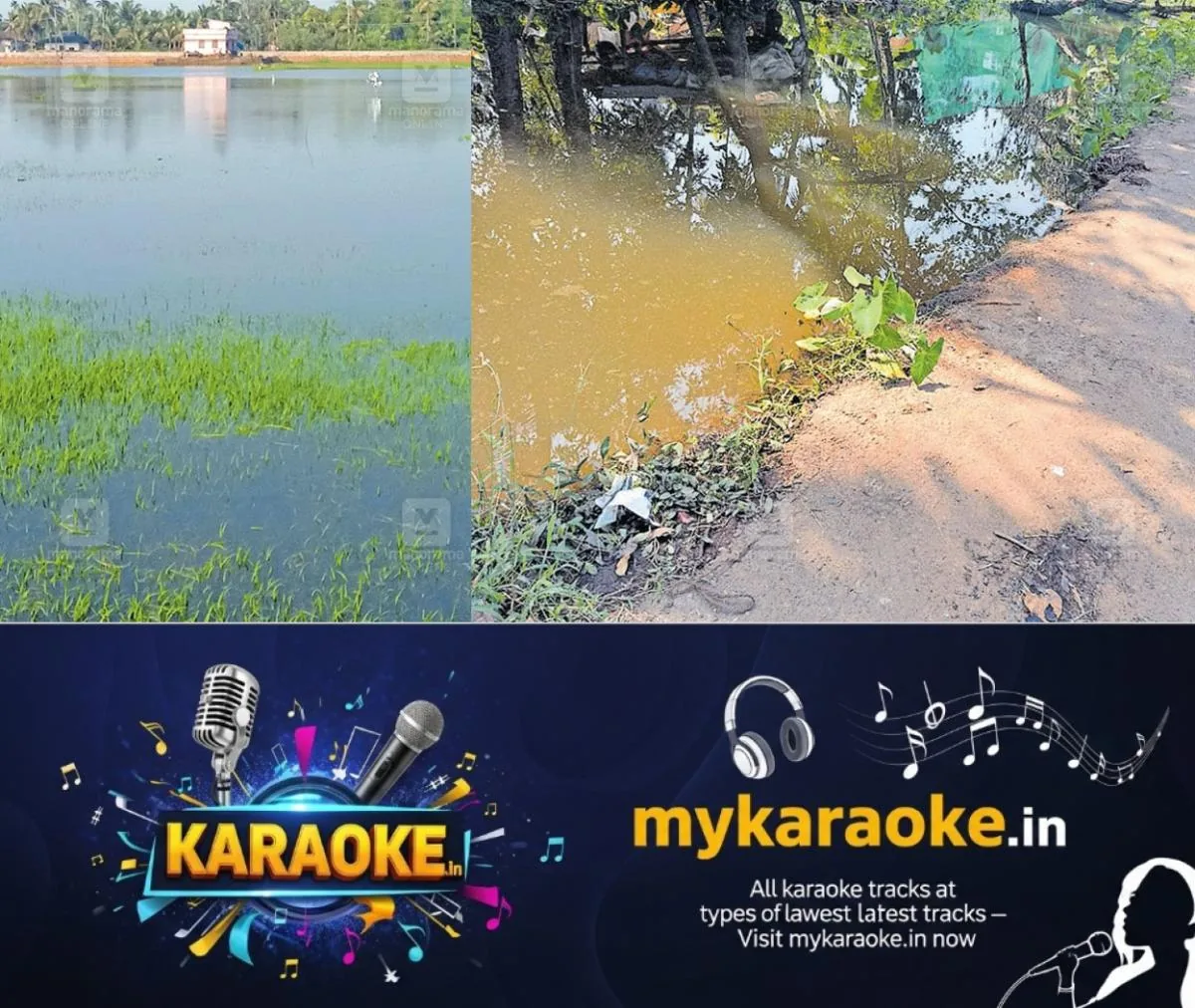 newskerala.net_1765882697_kuttanad-floods-paddy-damage-1