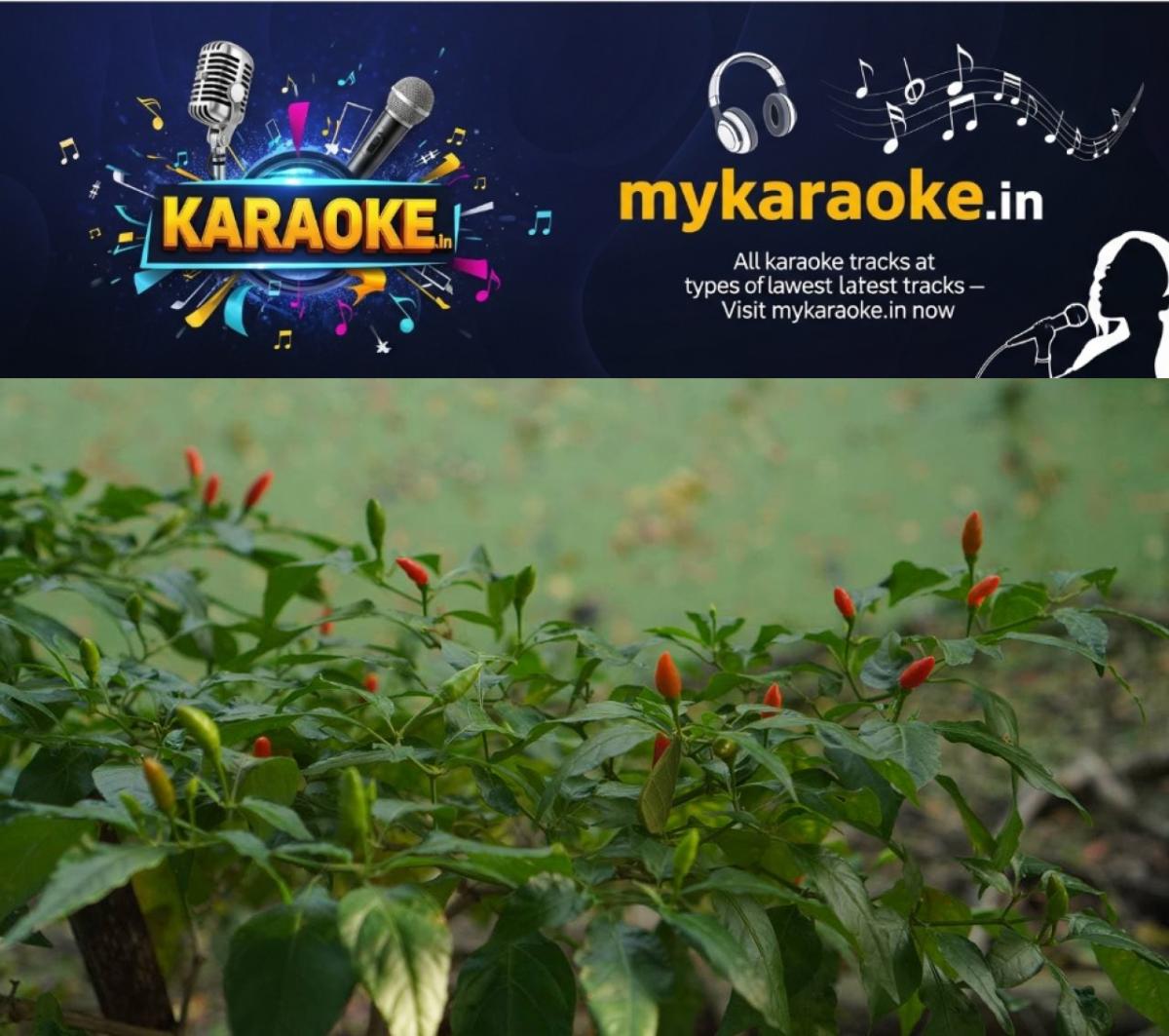 newskerala.net_1765917987_w-1280h-720format-jpgimgid-01kckx1dpvgdz2sg3dv3v6hrr1imgname-new-project-13-1765899548379
