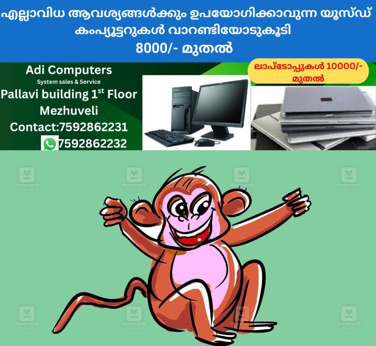 newskerala.net_1765941629_monkey