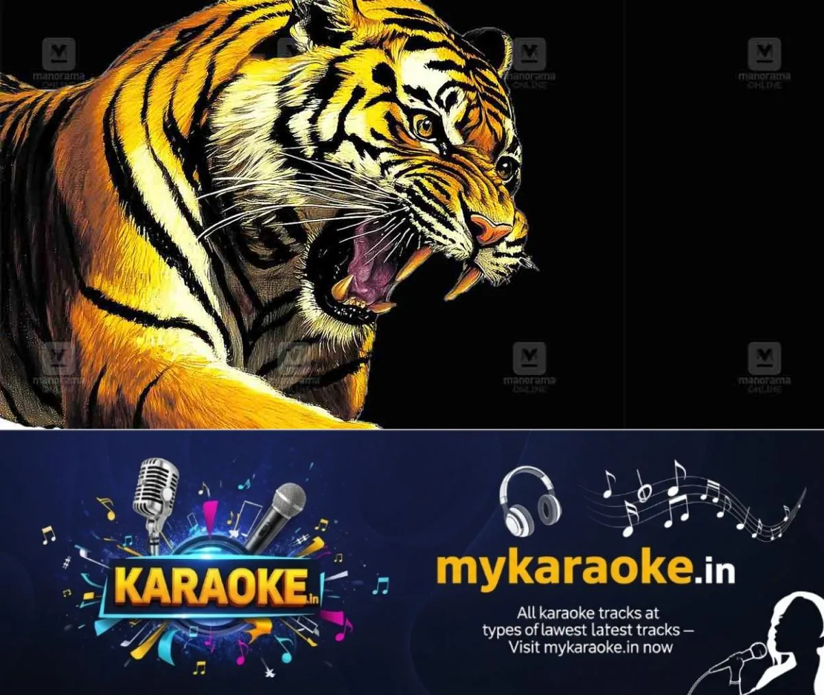 newskerala.net_1765960944_tiger-local-new