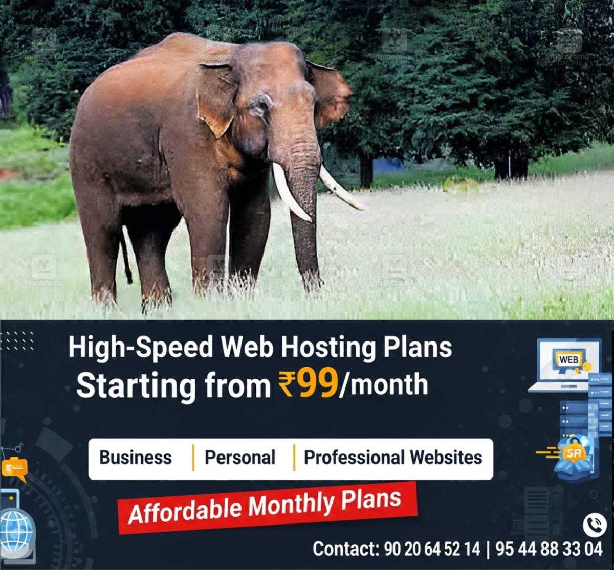 newskerala.net_1765963444_rivaldo-elephant