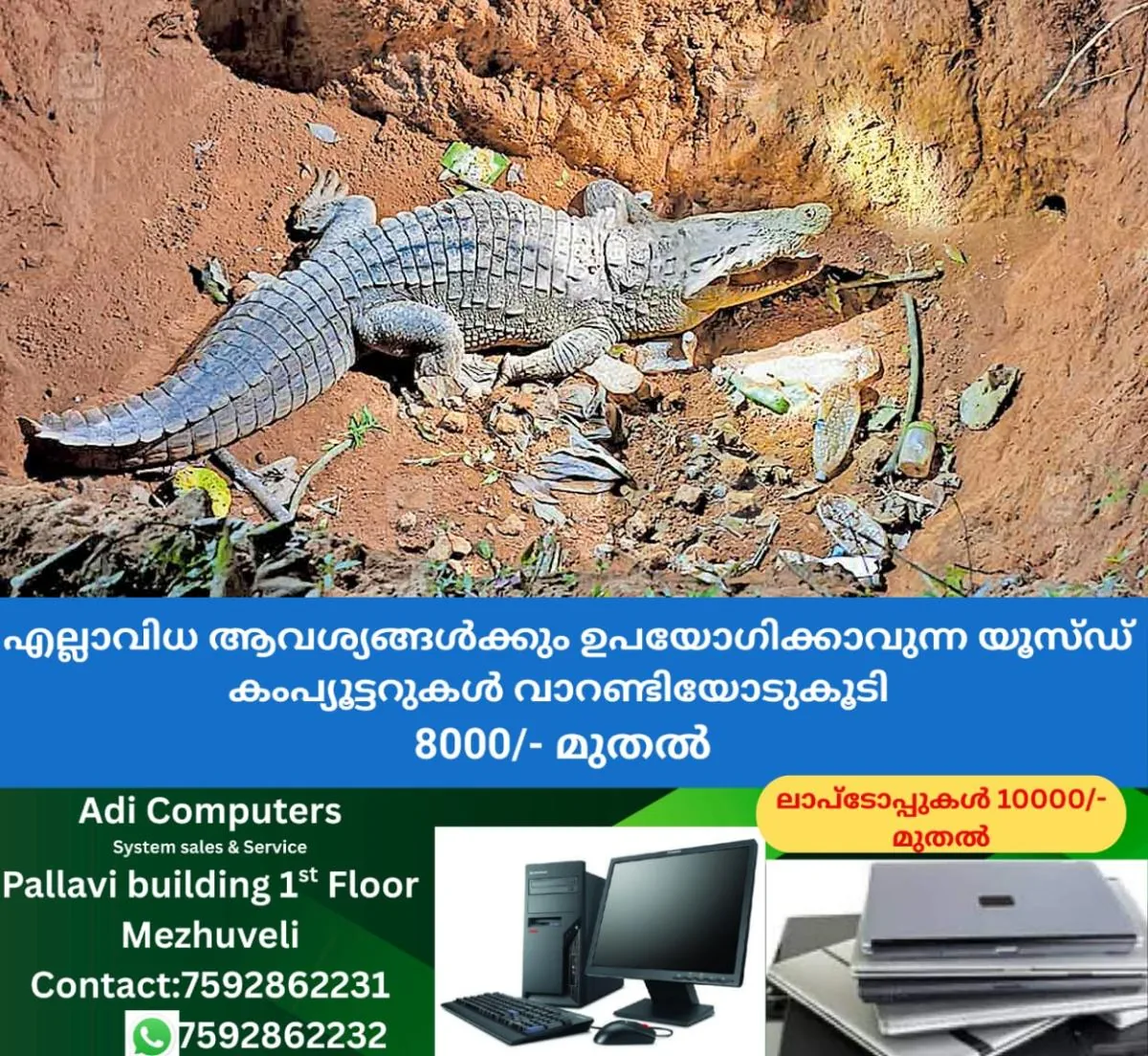 newskerala.net_1766052850_crocodile