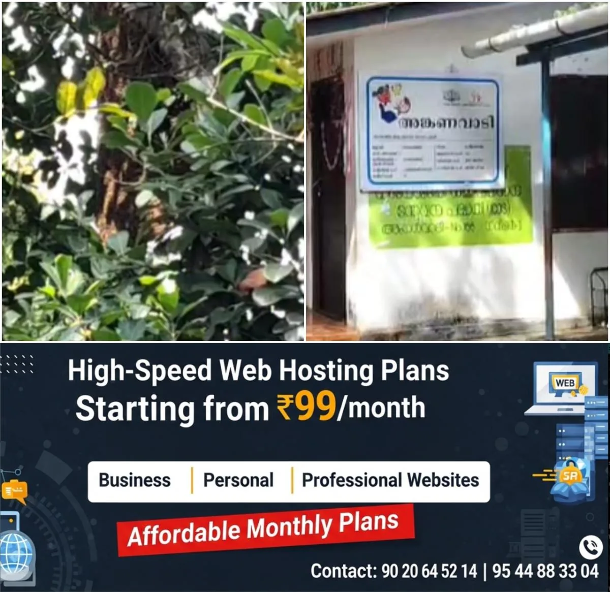 newskerala.net_1766055503_w-1280h-720format-jpgimgid-01kcrhcz4x1jbwwh7xxfjm0w4yimgname-wasp-attack-1766055115933