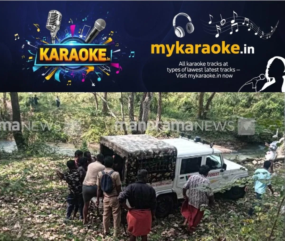 newskerala.net_1766235662_pulppally-tiger-attack