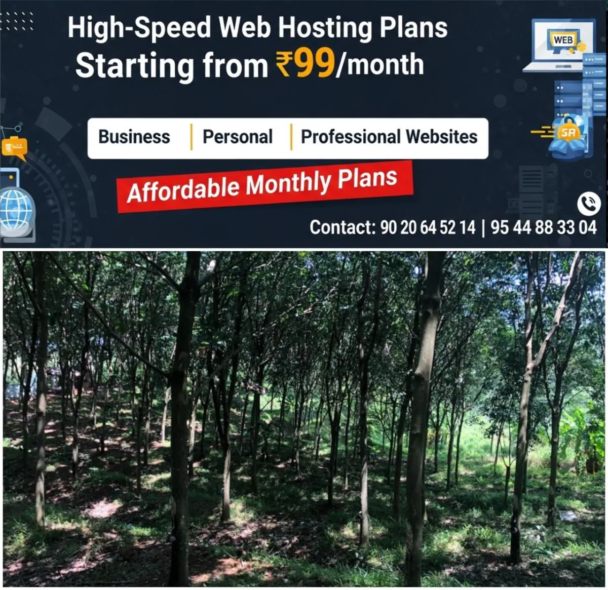 newskerala.net_1766265626_w-1280h-720format-jpgimgid-01kcyb0h68fcb307vfjte3nz0himgname-tree-1766249743560