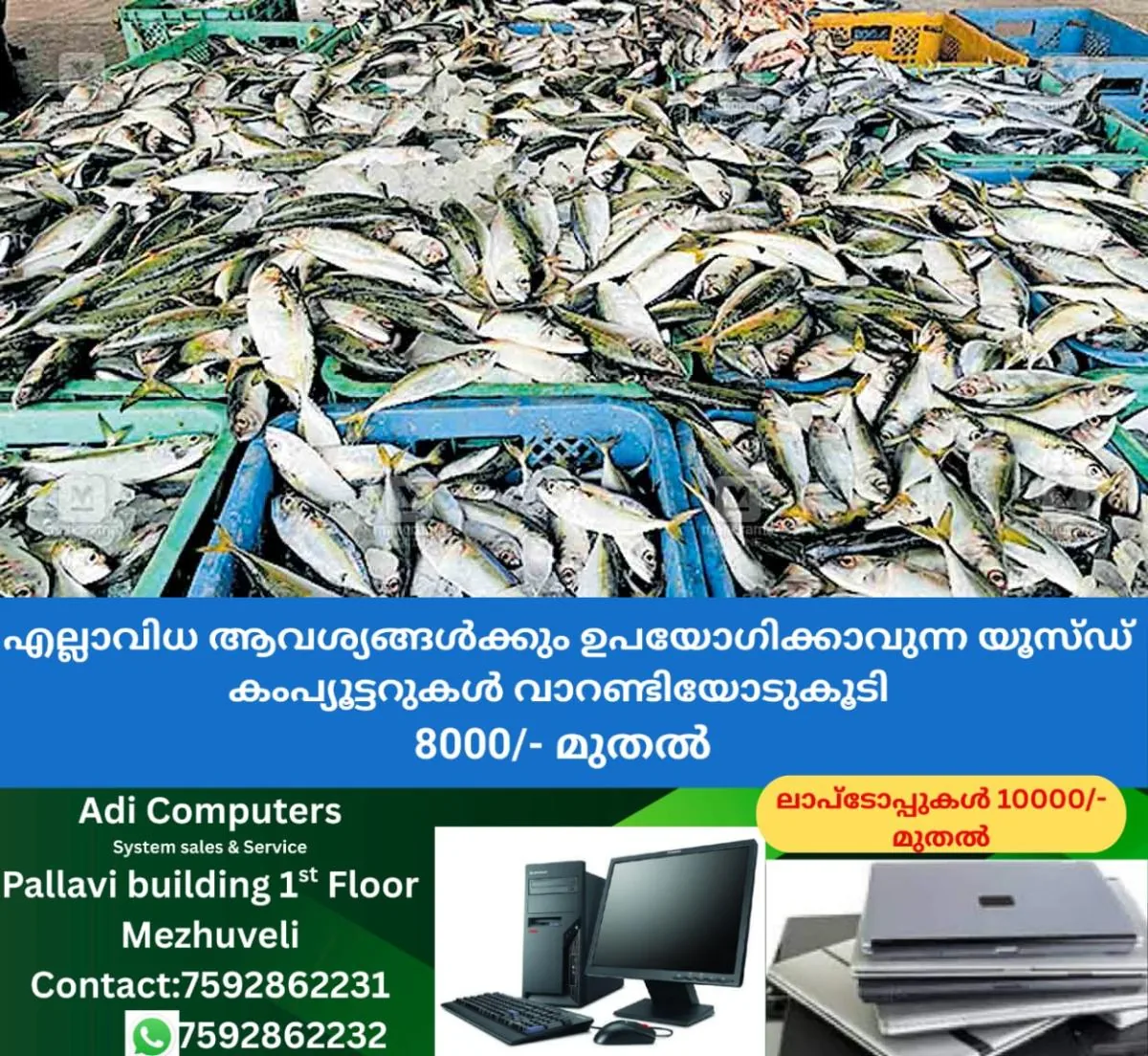 newskerala.net_1766300411_azhikode-fish