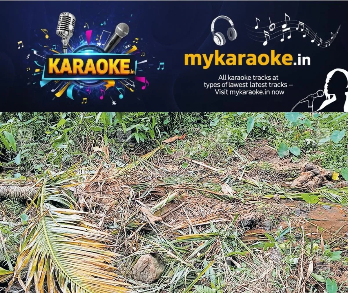 newskerala.net_1766322902_wild-elephants-destroy-crops-1