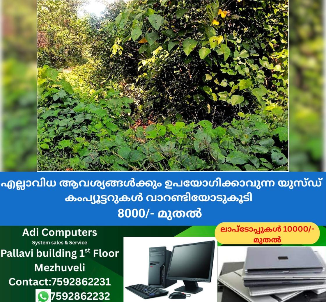 newskerala.net_1766396904_915f039b_407978816_737578_P_5_mr