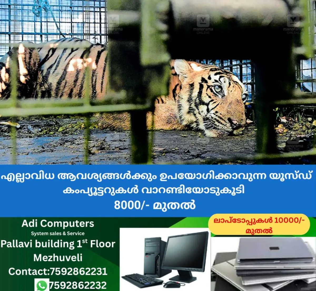 newskerala.net_1766461811_ranni-tiger-captured