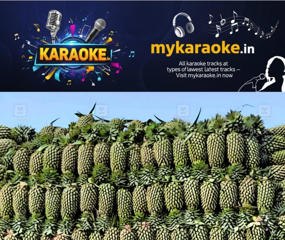 newskerala.net_1766464106_pineapple
