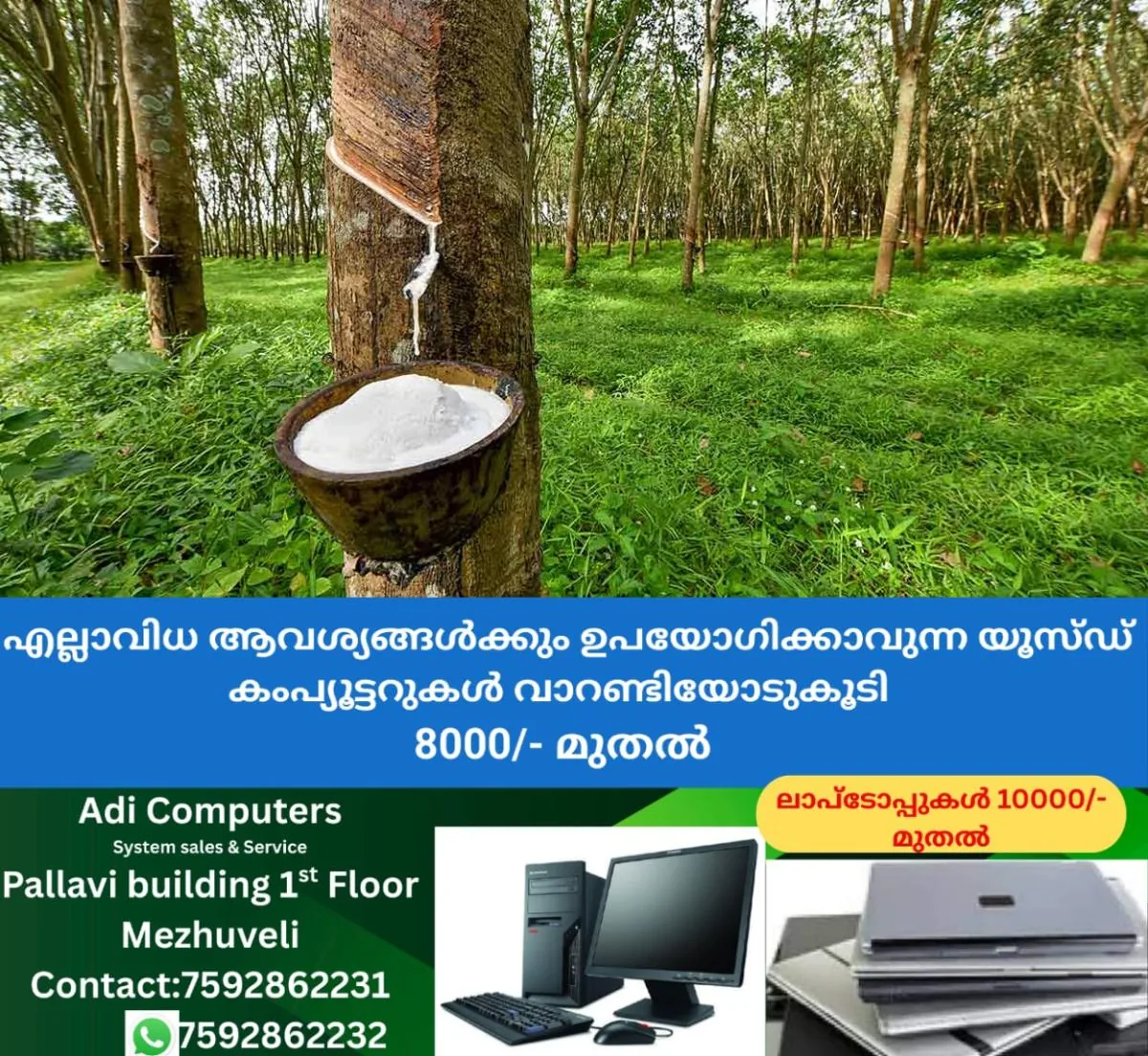 newskerala.net_1766469971_rubber-photo-main
