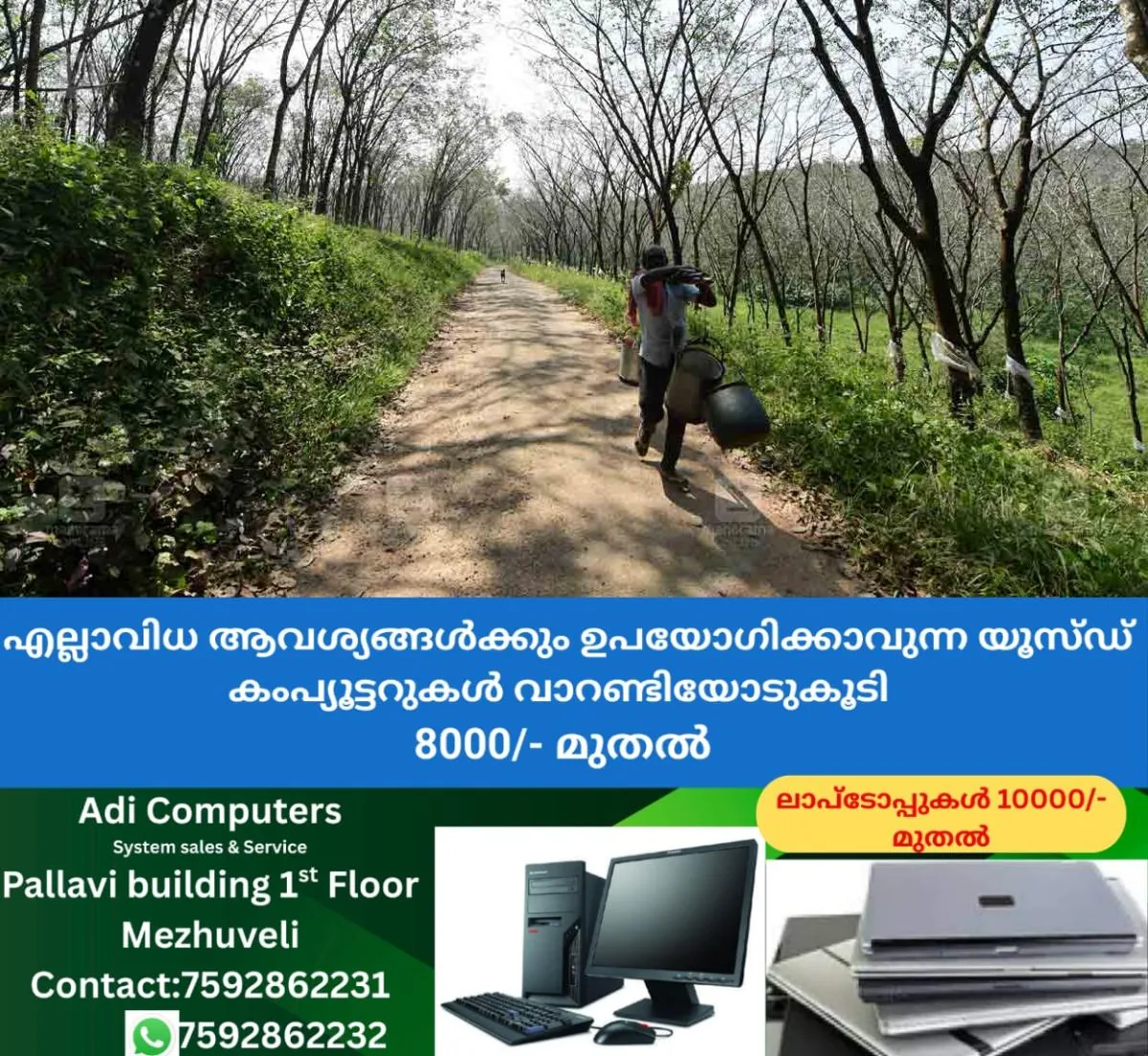newskerala.net_1766472424_kodumon-plantation