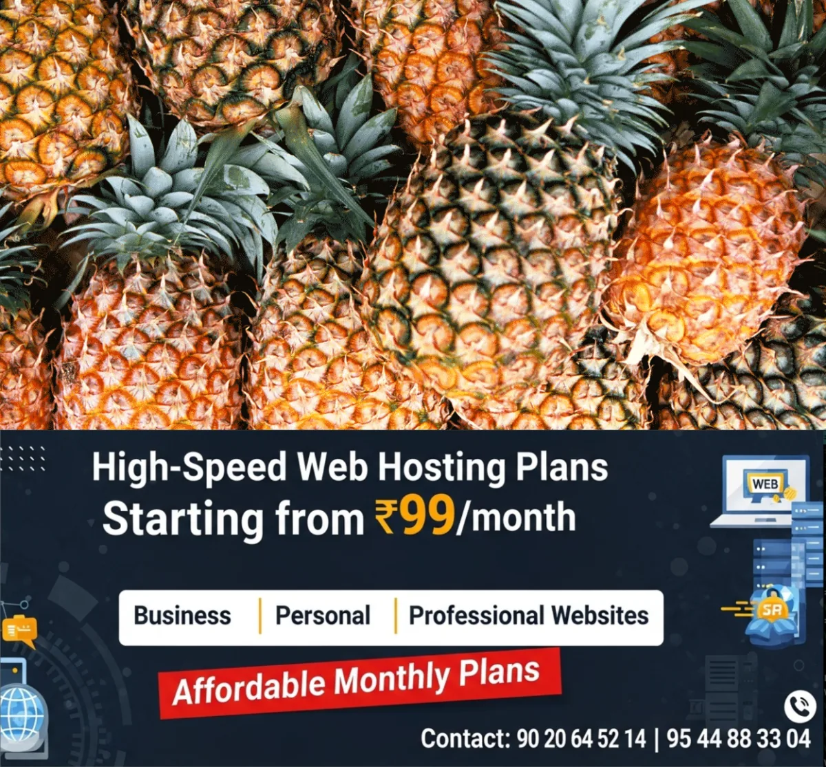 newskerala.net_1766476684_pineapple-env