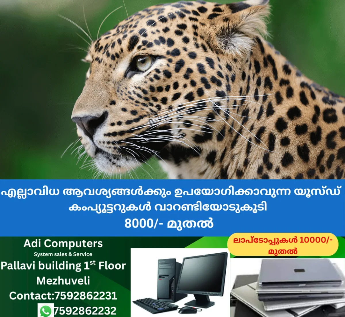 newskerala.net_1766478486_leopard-environment