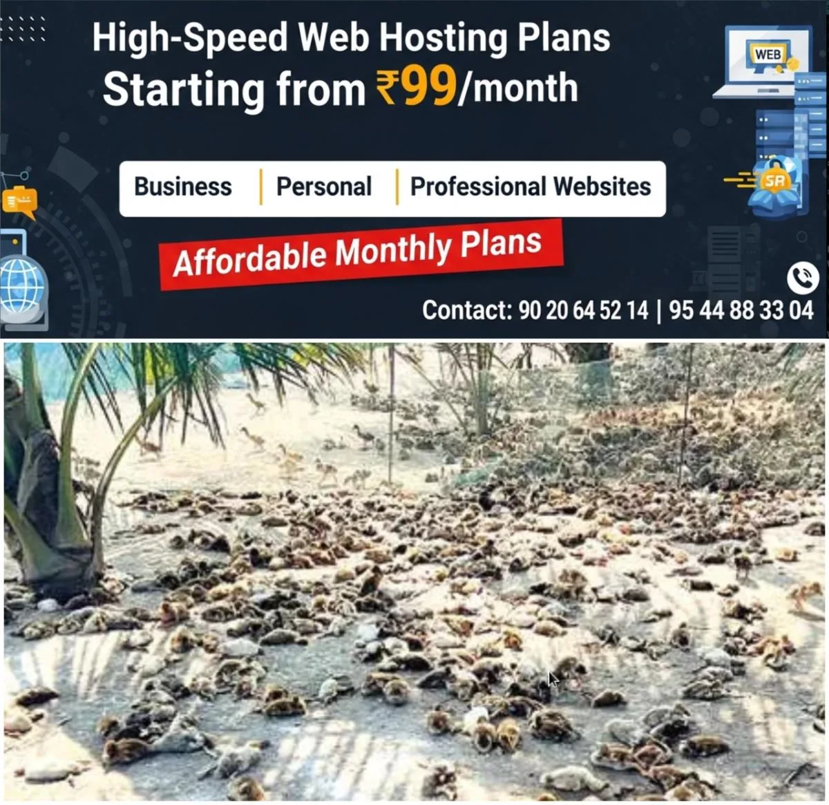 newskerala.net_1766481844_w-1280h-720format-jpgimgid-01kd57t8533qth8322cej4c3z4imgname-bird-flu-1766481272995