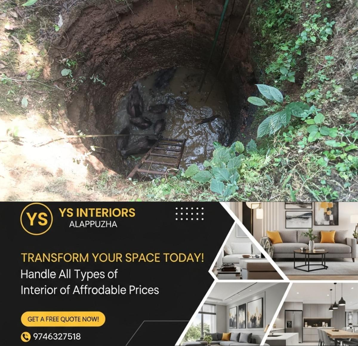 newskerala.net_1766502865_w-1280h-720format-jpgimgid-01kd5w3s6f6ywd4vaf1shje6ewimgname-wild-boar-1-1766502556879