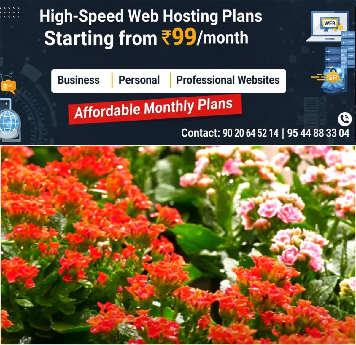 newskerala.net_1766555417_w-1280h-720format-jpgimgid-01kd7e3a7k22kfm1gst22683vnimgname-flower-show-1-1766554970355