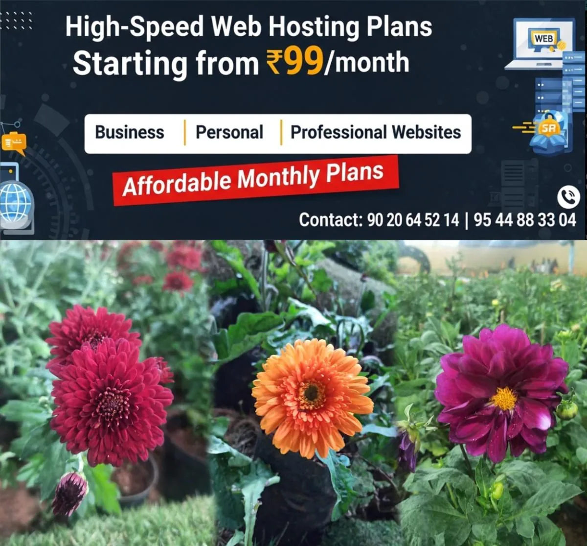 newskerala.net_1766558170_pushpamela-flowers-3